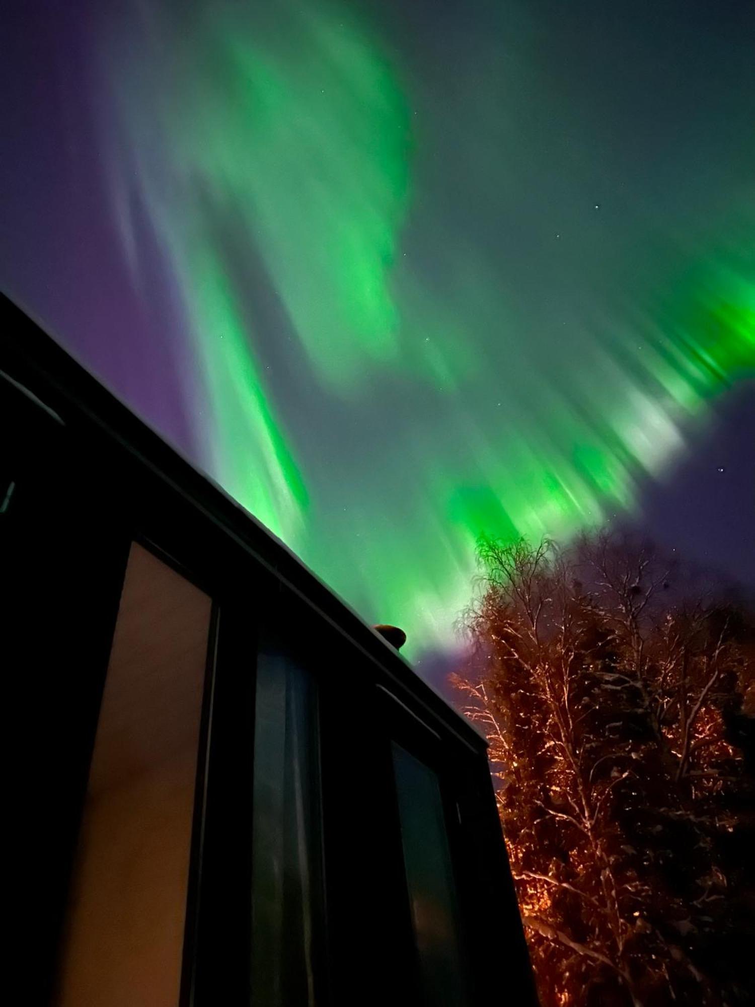 Aurora Forest Lodge Rovaniemi Dış mekan fotoğraf